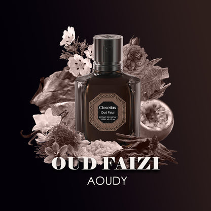 Oud Faizi